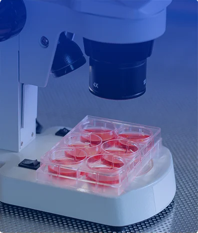 BRCA Plus