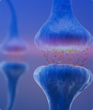 NEUROFISIOLOGÍA POTENCIALES EVOCADOS VISUALES PEDIATRICO