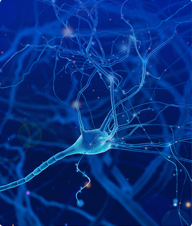 NEUROFISIOLOGÍA POTENCIALES EVOCADOS SOMATO-SENSORIALES SEGMENTARIOS 2 EXT PEDIATRICO