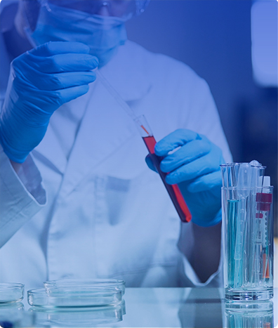 PERFIL DE HEPATITIS B