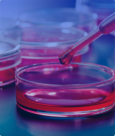 Química Sanguínea 36 Elementos