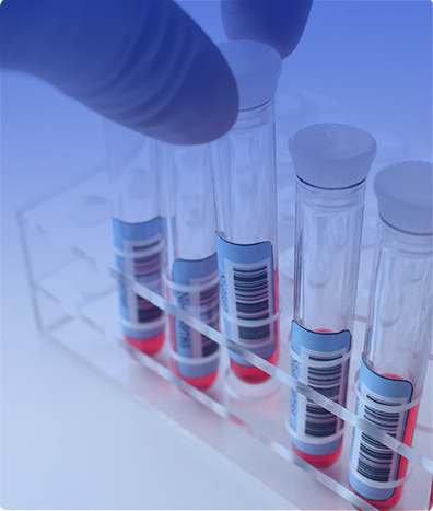 ECOCARDIOGRAMA DICOM PLUS