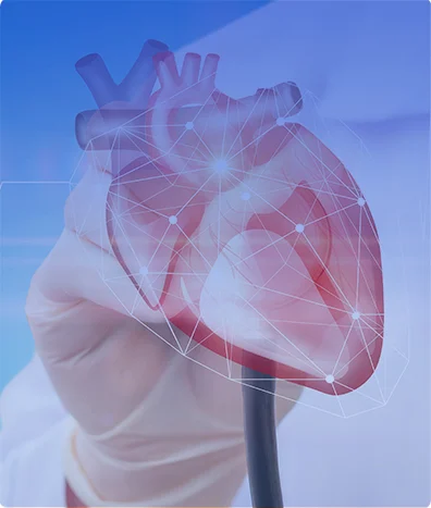 HOLTER CARDIACO