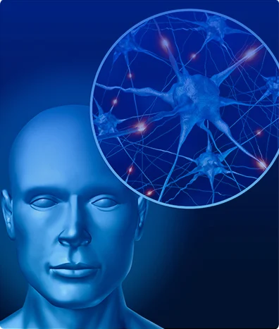 NEUROFISIOLOGÍA REFLEJO DE PARPADEO
