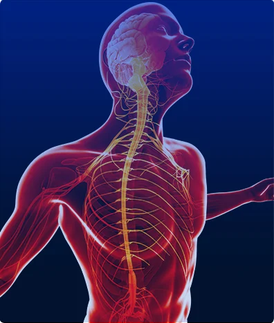NEUROFISIOLOGÍA MAPEO ADICIONAL