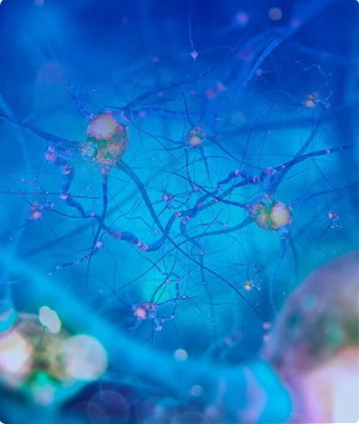 NEUROFISIOLOGÍA POTENCIALES EVOCADOS SOMATO-SENSORIALES 4 EXT