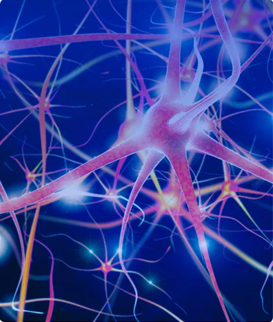 NEUROFISIOLOGÍA POTENCIALES EVOCADOS VISUALES