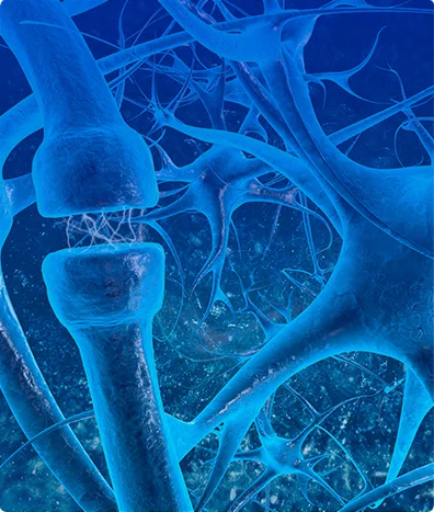 NEUROFISIOLOGÍA VELOCIDAD DE CONDUCCION NERVIOSA 2 EXTREMIDADES